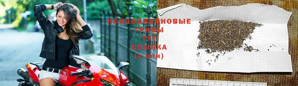 spice Бугульма