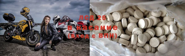 a pvp Бородино